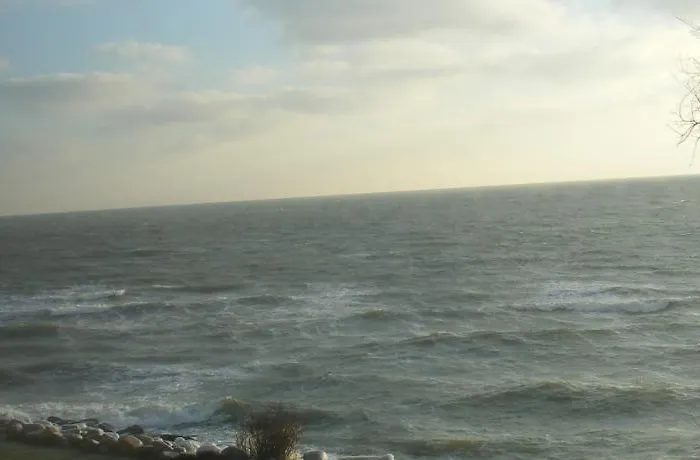 Meersinn * 사스니츠